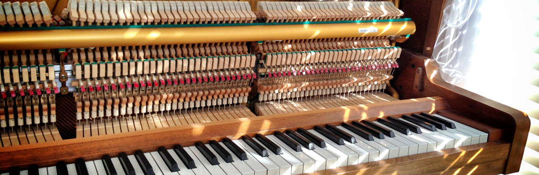 Piano Kinh Bắc