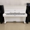 img piano vitor trang