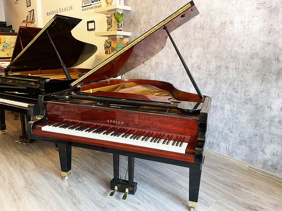 10 Lợi Ích Tuyệt Vời Khi Sở Hữu Một Cây Đàn Piano