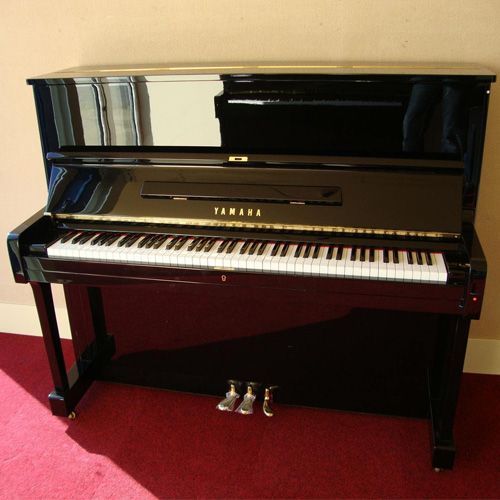 Bạn đã biết những điều này về piano điện?