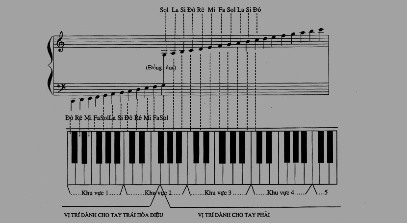 Tầm quan trọng của lý thuyết âm nhạc trong việc học đàn piano