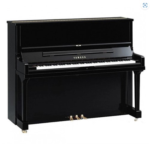 Chọn lựa đàn Piano phù hợp với nhu cầu tại Bắc Giang - Hướng dẫn toàn diện để đưa ra quyết định đúng đắn