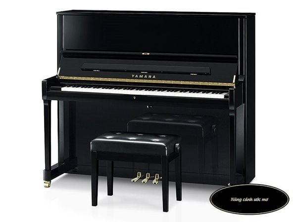 Chọn mua đàn piano phù hợp với bạn ở Bắc Giang – Hành trình chinh phục âm nhạc đỉnh cao