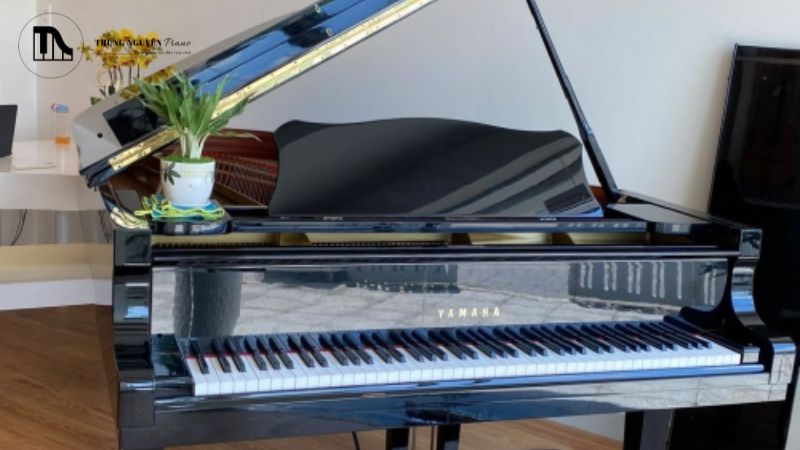 Piano Kinh Bắc