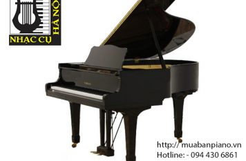 Piano Kinh Bắc