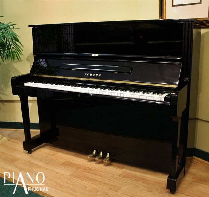 Khuyến mãi hấp dẫn khi mua đàn Piano tại Bắc Giang – Cơ Hội Vàng Cho Người Yêu Âm Nhạc