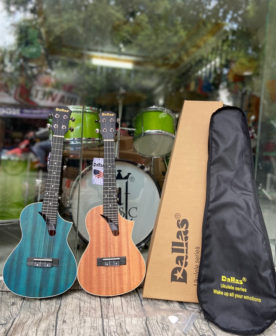 Mua Đàn Piano Chất Lượng Tại Bắc Giang - Chọn Lựa Hoàn Hảo Để Khởi Đầu Hành Trình Âm Nhạc