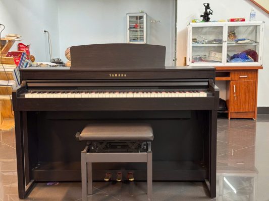 Trải Nghiệm Đào Tạo Piano Chuyên Nghiệp Bắc Ninh - Chọn Lựa Đỉnh Cao Cho Người Yêu Âm Nhạc