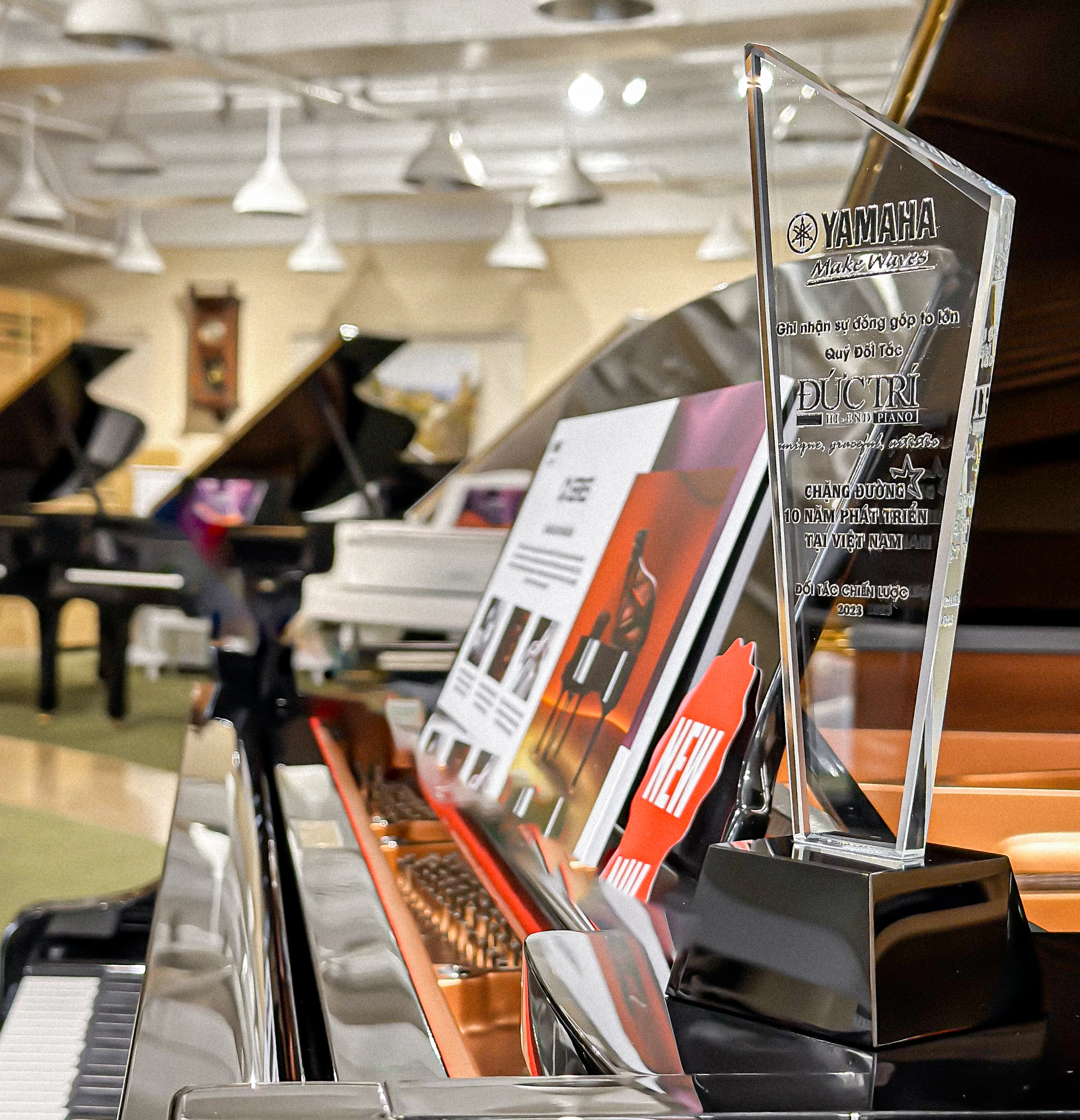 Tư vấn mua đàn piano phù hợp nhu cầu tại Bắc Giang - Chinh phục âm nhạc cho mọi nhà