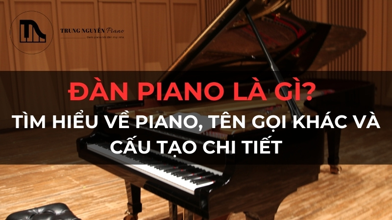Tìm hiểu nhu cầu học đàn piano trong cộng đồng Bắc Ninh - Nhu cầu ngày càng tăng của giới trẻ và người yêu âm nhạc